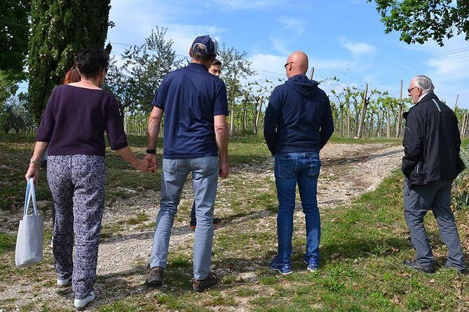 Winery Tour and Tasting of Garda Wines in Lazise - Practical Details and Booking