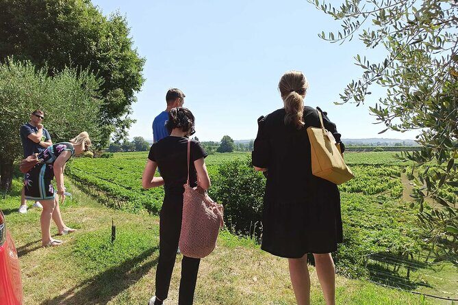 Winery Tour and Tasting of Garda Wines in Lazise - Final Thoughts