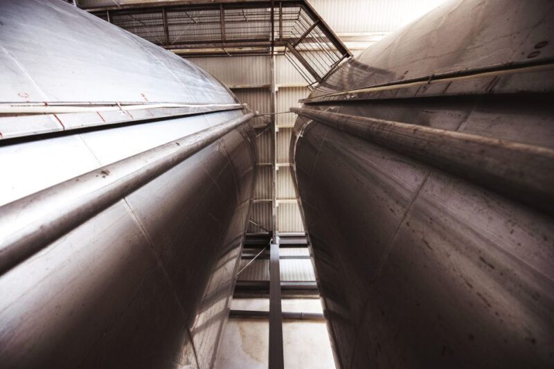 Winery tour and tasting of Sicilian organic wines in Marsala - Key Points