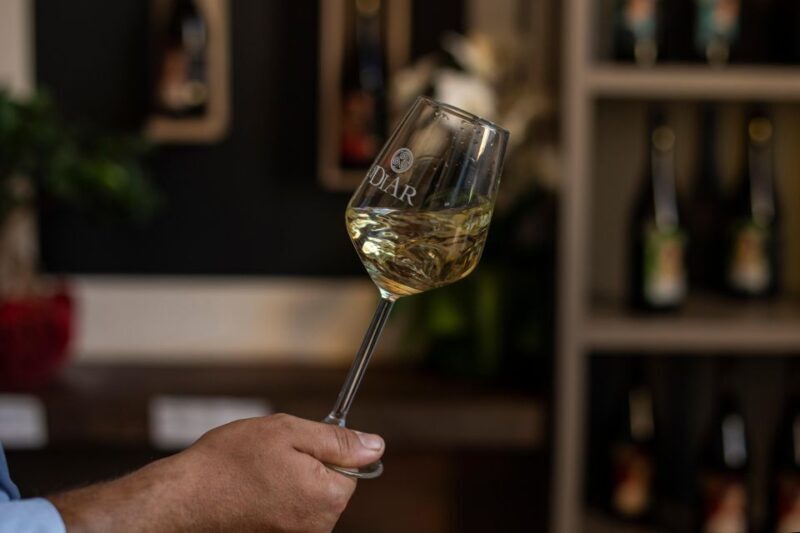 Winery tour and tasting of Sicilian organic wines in Marsala - Exploring the Winery Tour and Tasting