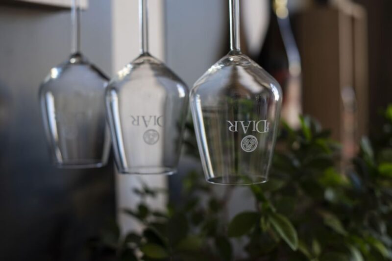 Winery tour and tasting of Sicilian organic wines in Marsala - Who Would Love This Tour?