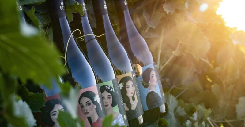 Winery tour and tasting of Sicilian organic wines in Marsala - FAQ