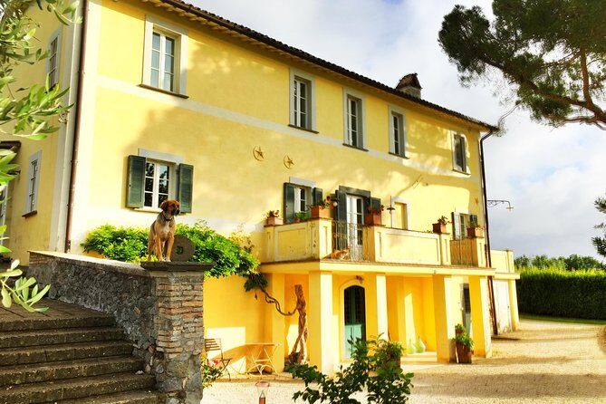 Winery tour and wine, cheese & charcuterie tasting - A Close Look at the Itinerary