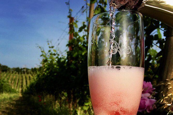 Winery tour and wine, cheese & charcuterie tasting - Analyzing the Value