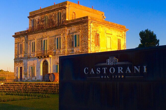 Winery Tour and Wine Tasting in Montepulciano d'Abruzzo - Who Should Book This Tour?