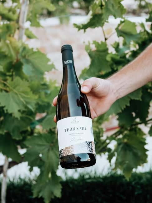 Winery tour and wine tasting - Key Points