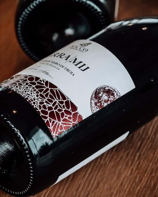 Winery tour and wine tasting - A Deep Dive into the Winery Tour and Tasting Experience