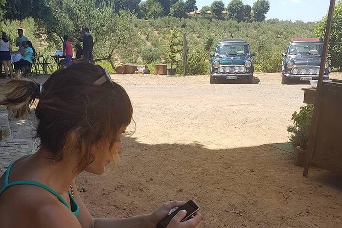 Winery Tour in Mini Cooper Classic Cabrio wine testing and lunch - Who Should Consider This Tour?