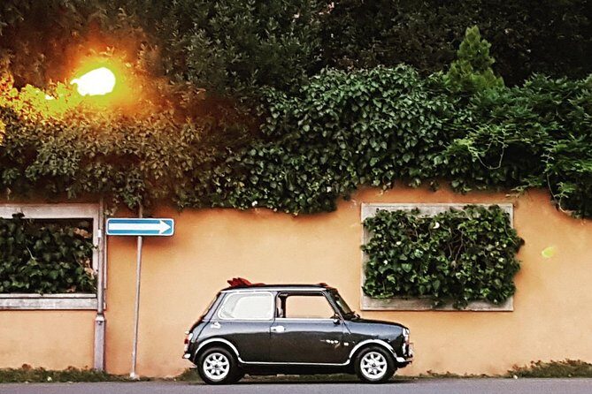 Winery Tour in Mini Cooper Classic Cabrio wine testing and lunch - FAQs