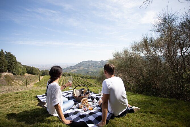 Winery Tour & picnic in the vineyard with a bottle of wine - Why This Tour Works for Travelers