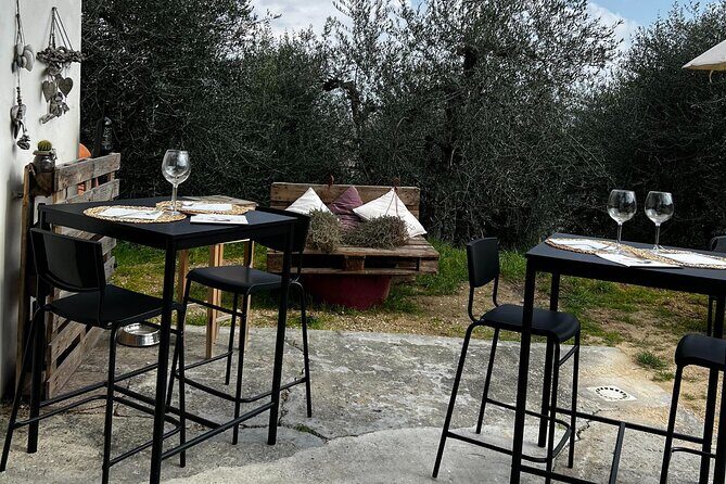 Winery Tour & Tasting in Pisa Countryside - Location and Accessibility