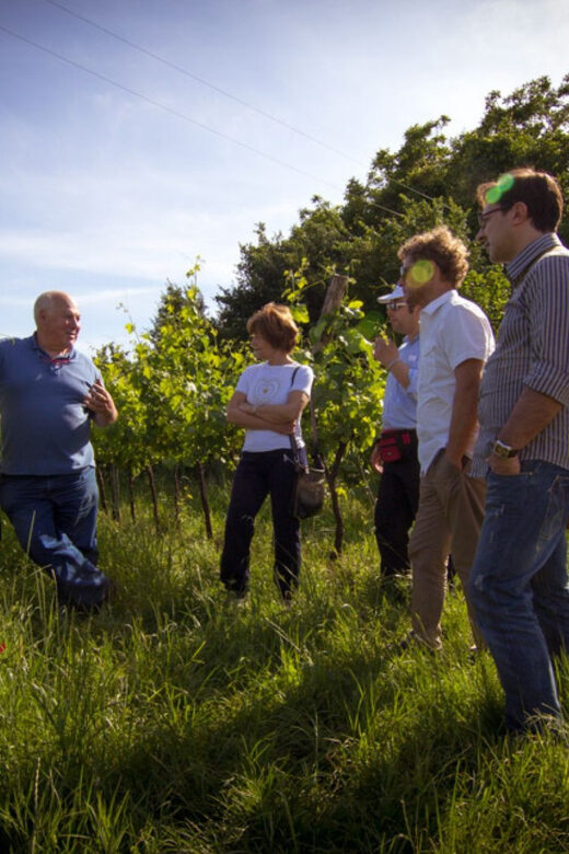 Winery Tour & Tasting on Padua Hills - An Authentic Taste of Veneto’s Wine Heritage