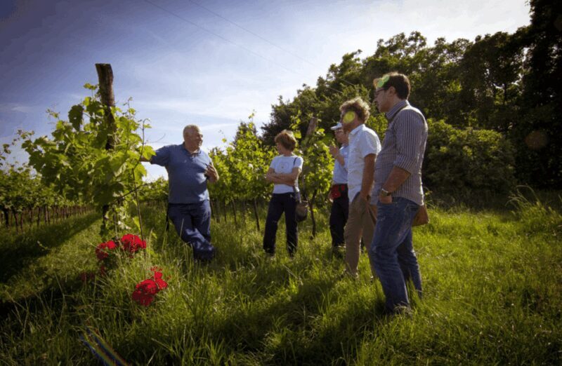 Winery Tour & Tasting on Padua Hills - FAQ