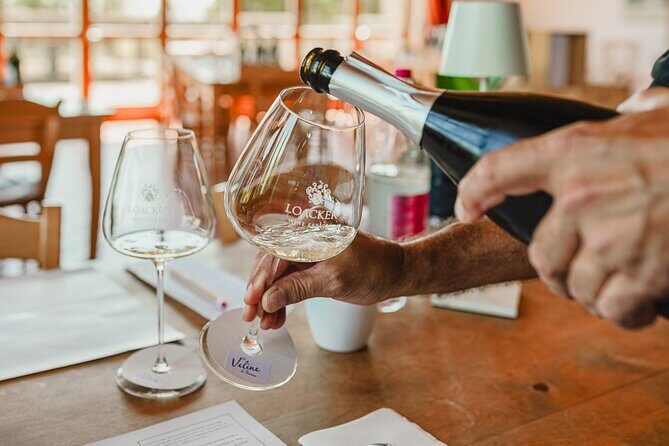 Winery tour & wine tasting in Montalcino - In-Depth Look at the Experience