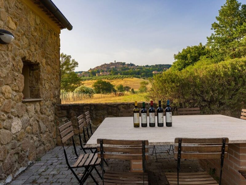 Winery Tour & Wine Tasting with Food near Livorno & Pisa - Winery Tour & Wine Tasting with Food near Livorno & Pisa