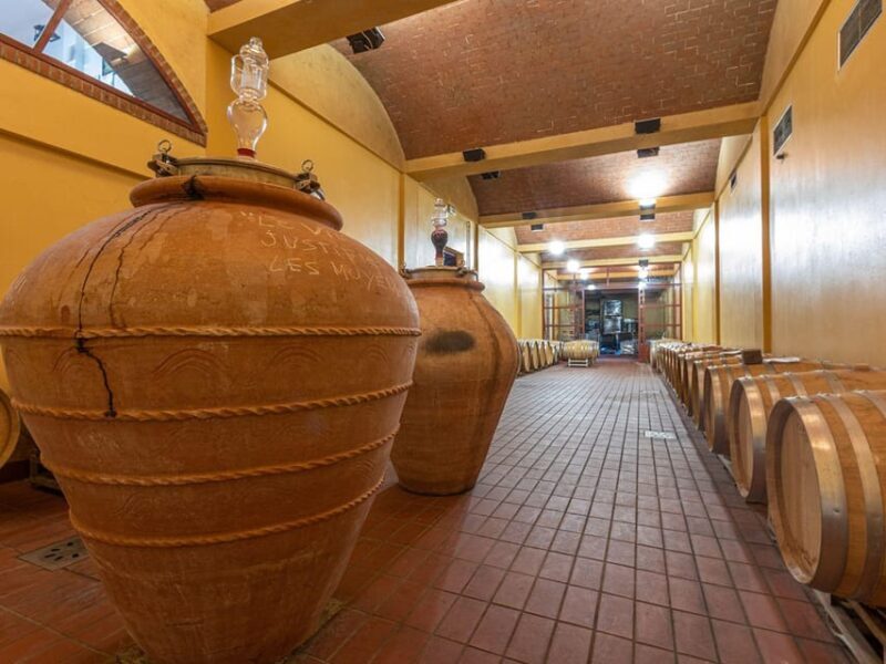 Winery Tour & Wine Tasting with Food near Livorno & Pisa - Pricing and Value Analysis