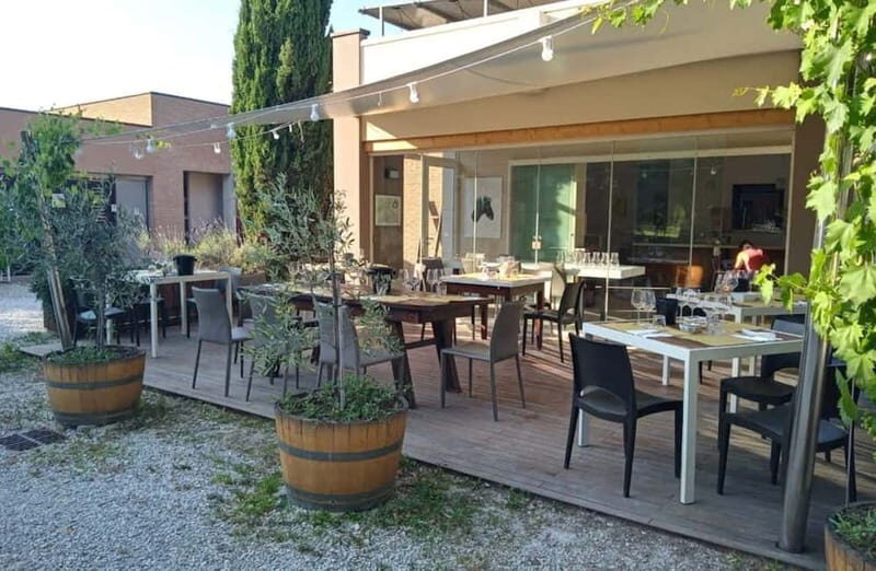Winery Tour with Wine & Food Tasting near Riccione & Rimini - Key Points