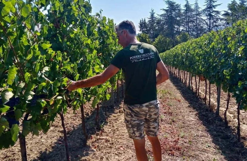 Winery Tour with Wine & Food Tasting near Riccione & Rimini - Final Thoughts: Is This Tour Right for You?