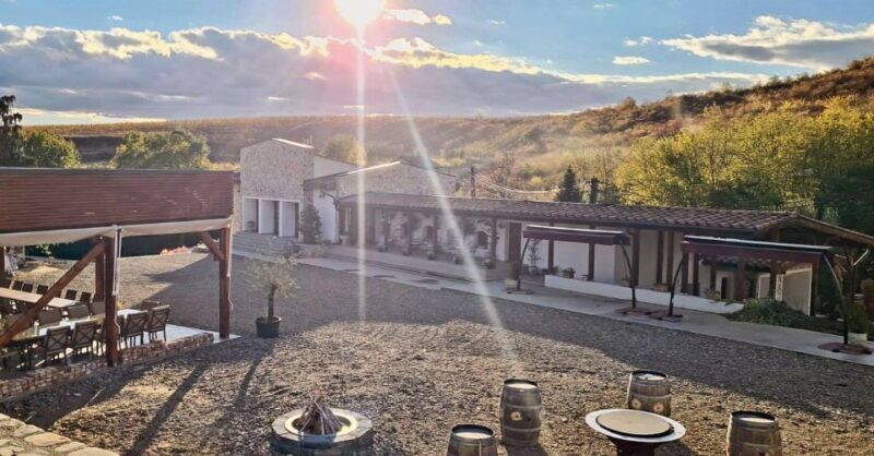 Winery touring & private wine tasting - one day private tour - An In-Depth Look at the Experience