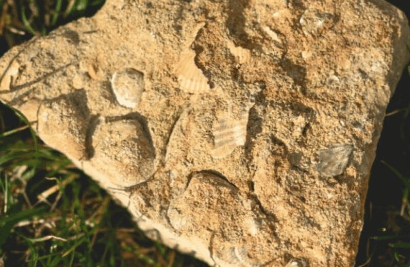 Winery Visit on Parma Hills & Wine Tasting with Food Platter - Why This Tour Is a Great Choice