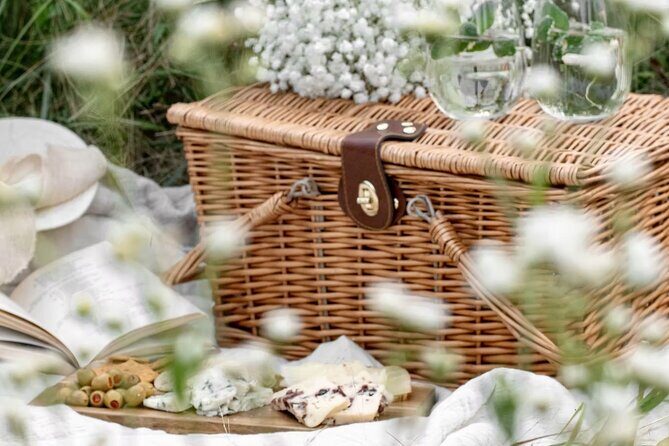 Winery visit / tasting in the vineyards, Mas des Escarades - What to Expect from Your Visit to Mas des Escarades