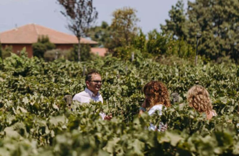 Winery Visit & Tasting on the Volcanic Slopes near Catania - Who Would Appreciate This Tour?
