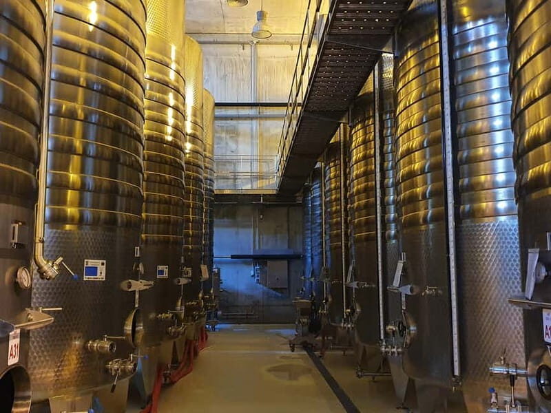 Winery visit & Wine Tasting: half-day tour - A Closer Look at the Itinerary and Experience