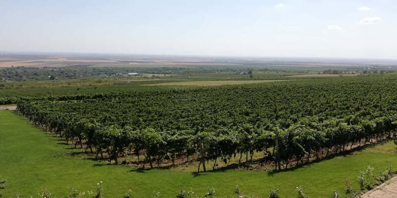 Winery visit & Wine Tasting: half-day tour - Final Thoughts