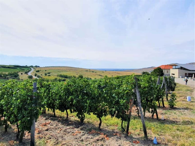 Winery visit & Wine Tasting: half-day tour - FAQ