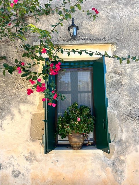 Winery Winery Olive Oil Tasting Traditional lunch - What to Expect from This Crete Wine & Olive Oil Experience