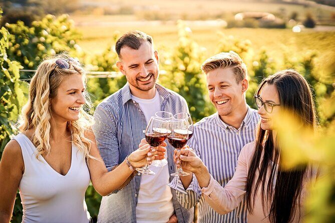 Wines and Views Private Wine Tour of Otago from Queenstown - The Whole Experience & Timing