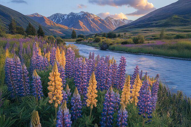 Wines and Views Private Wine Tour of Otago from Queenstown - Practical Considerations