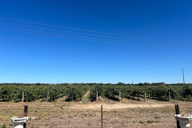 Wines and Whispers:Barossa Valley Private Wine Tour from Adelaide - FAQs