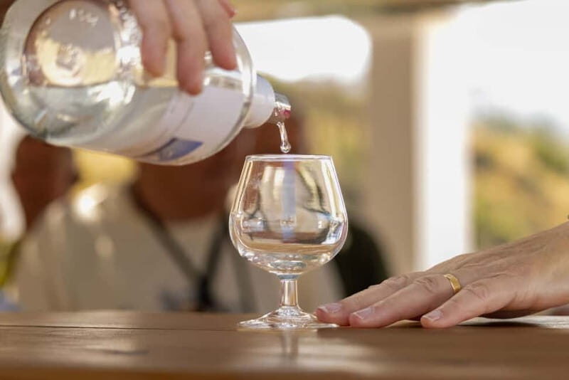 Wines of Rhodes: Traditional Wine Tasting in the vineyards - Practical Details