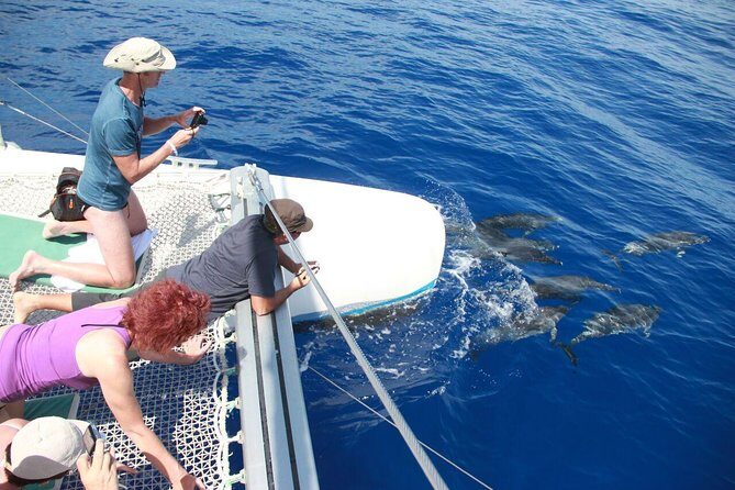 Wines Tasting Experience and Skywalk with Dolphin Watching - Who Is This Tour Best For?