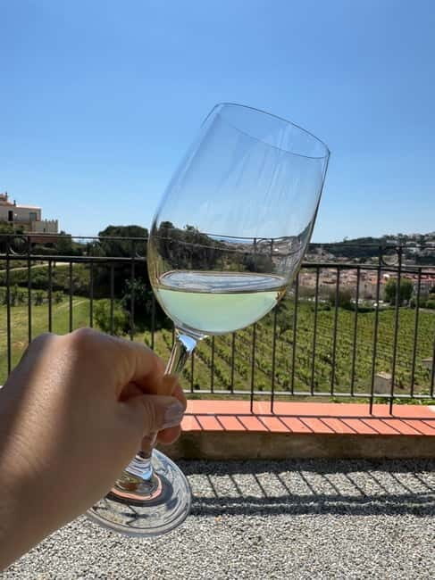 Wines & Wonders: Gaudís Hidden Gems - Practical Tips