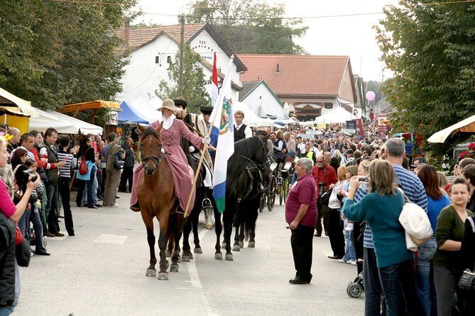 Winetaste in Villany, and visiting Pécs, on a private tour - Who Will Love This Tour?
