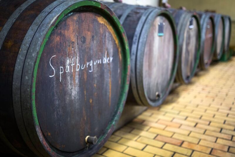 Winetasting with tour through the winery - An In-Depth Look at the Winery Tour Experience