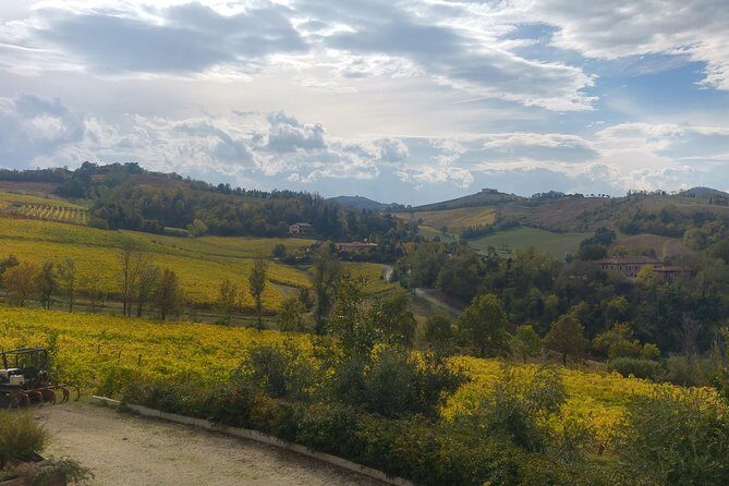 Winetour and tasting on Bologna hills, guided by the wine grower - FAQs