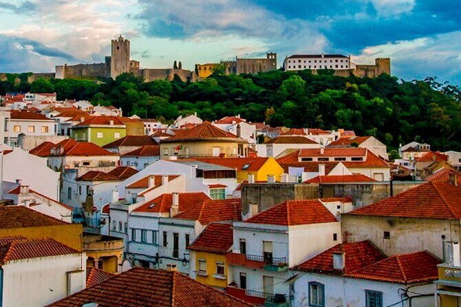 WineTour Palmela - Cheese, Wine & Bread - An In-Depth Look at the Palmela Wine, Cheese & Bread Tour