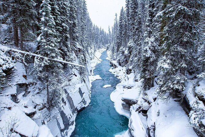 Winter Abraham Bubble Lake and Icefield Parkway - The Sum Up