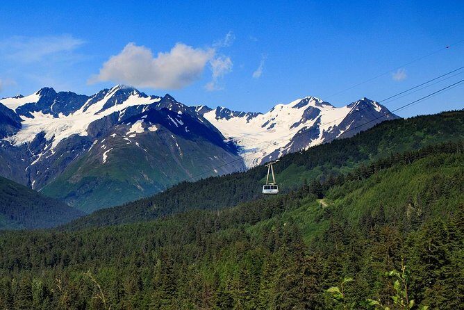 Winter - Alaska Wildlife Center with Alyeska Tram - Value and Pricing Analysis