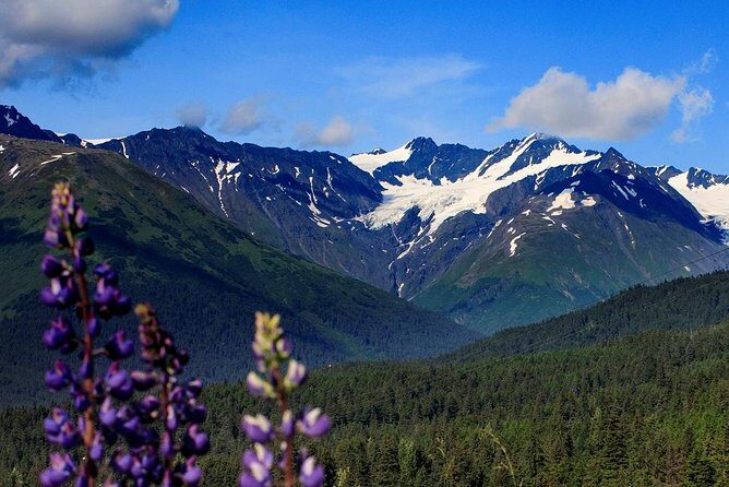 Winter - Alaska Wildlife Center with Alyeska Tram - FAQs