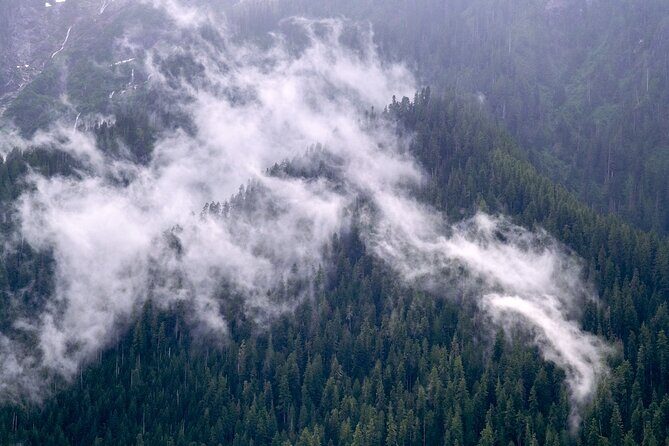 Winter Day Tour to Longmire on Mount Rainier from Seattle - FAQ