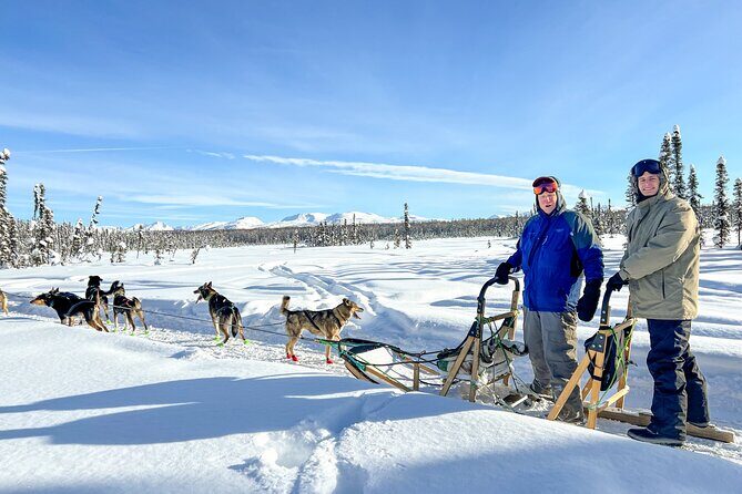 Winter Dog Sled Tour: Day or Night. - The Experience Provider: Susitna Sled Dog Adventures