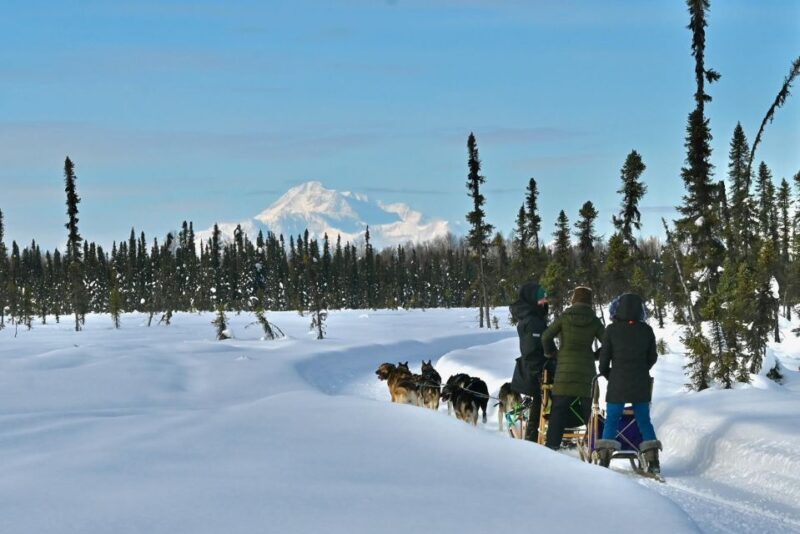 Winter Dog Sled Tour Day or Night Mush! - Key Points
