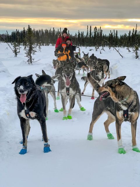 Winter Dog Sled Tour Day or Night Mush! - Who Should Consider This Tour?