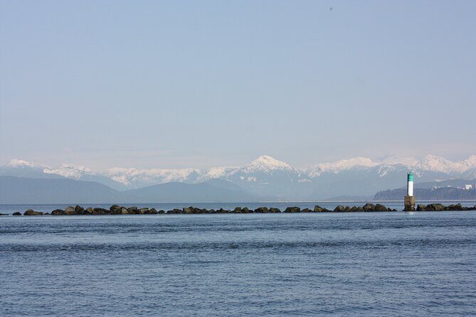 Winter Eco Tours on the Salish Sea Wildlife Adventures - Final Thoughts