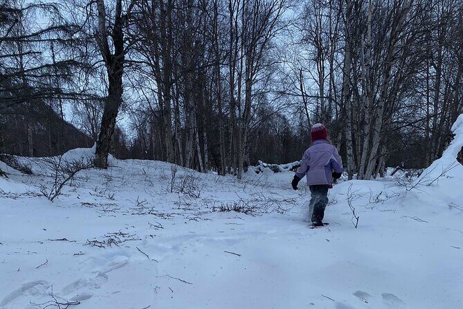 Winter Family Fun Day in Palmer Alaska - Summing Up: Who This Tour Is Best For