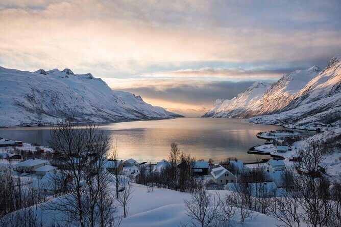 Winter Fjord Road Trip with Citizen Science with Wandering Owl - The Itinerary: What to Expect